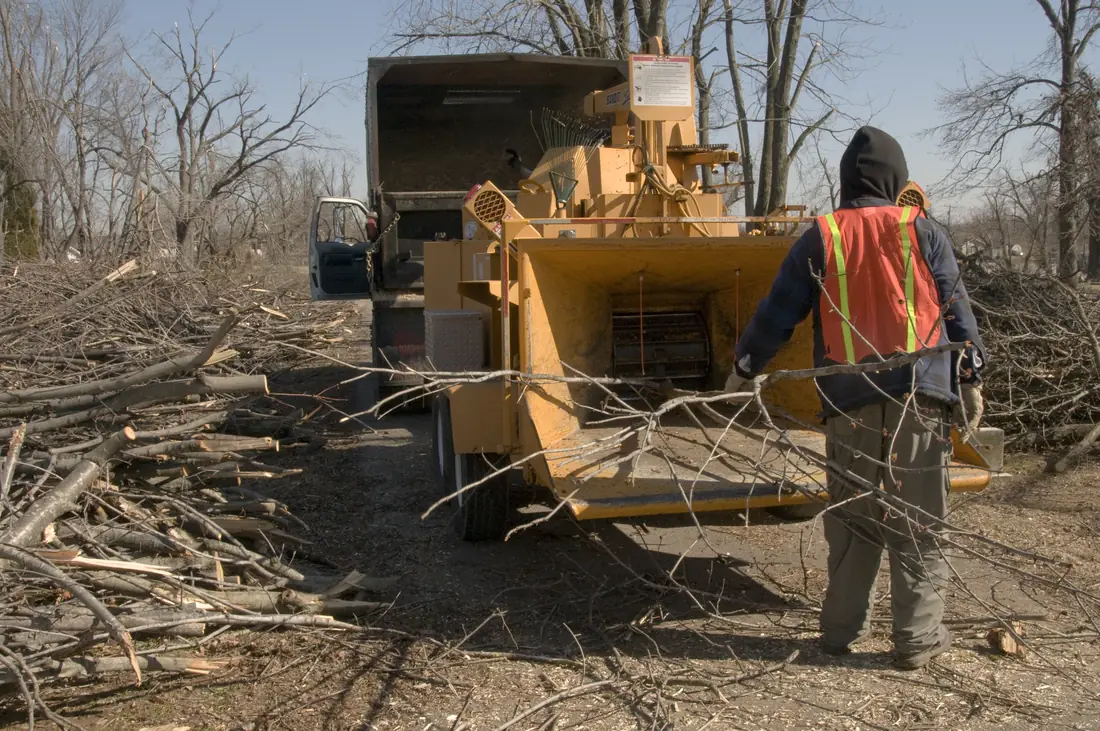 Worker feeding branches into a wood chipper, illustrative equipment photo