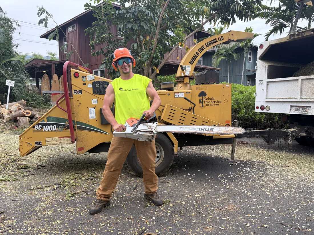 Worker holding a chainsaw beside a wood chipper and white dump truck